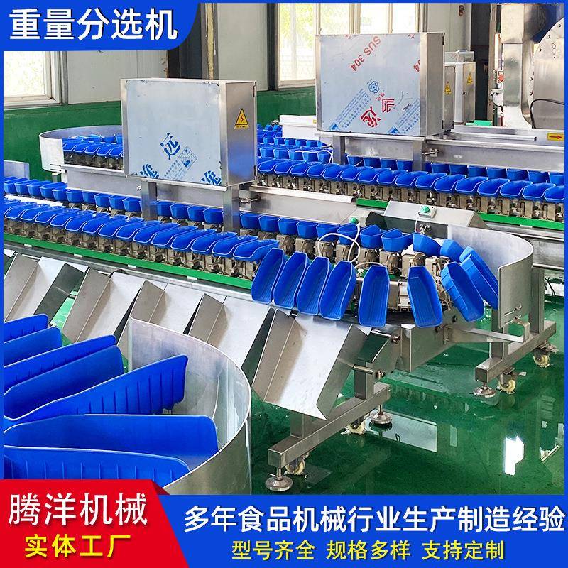 橙子重量分选机橘子尺寸分级设备百香果称重分拣机
