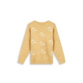 玉米专享 ISABELY•M 洋气提花小马显瘦毛衣女冬季 新款 宽松