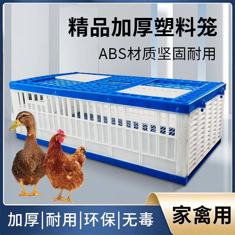 鸡笼塑料周转箱成鸡鸭鹅运输筐加厚大码鸡笼鸡鸭鹅鸽笼周转运输笼