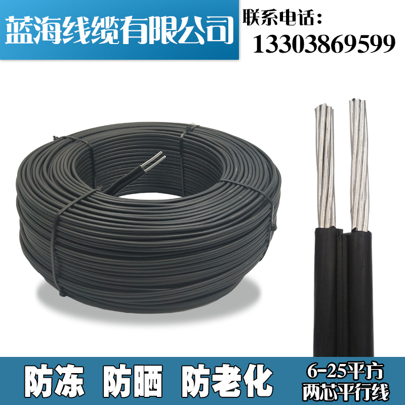 铝线电缆线 4 6 10 16 25 35平方铝芯线2R芯电揽线户外平行线