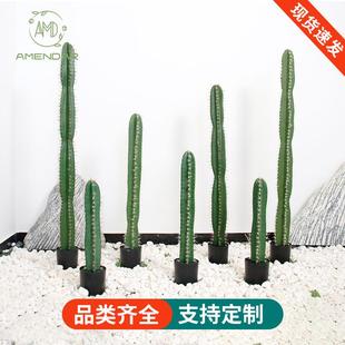 热带沙漠绿植仿真仙人掌仿真仙人柱盆景家居布景橱窗装饰摆件