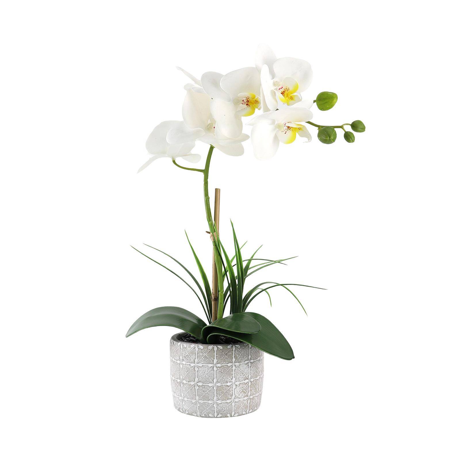 家居仿真兰花摆件新年装饰蝴蝶兰花白色胶片手感带水泥盆一体过年