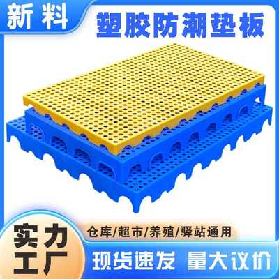 塑料防潮板塑胶托盘卡板超市冻库货仓垫板网格拼接仓库地台养殖板