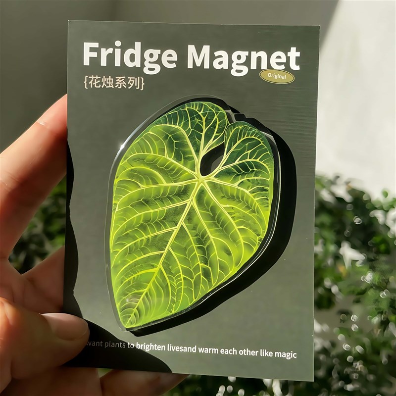 热带珍稀植物磁吸冰箱贴插画 画创意冰箱磁铁夏季冰箱磁铁定制