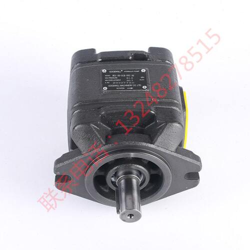 HG0/HG1/HG2-13 16 25 32 40 50 63-01R-VPC内啮合齿轮泵厂家现货