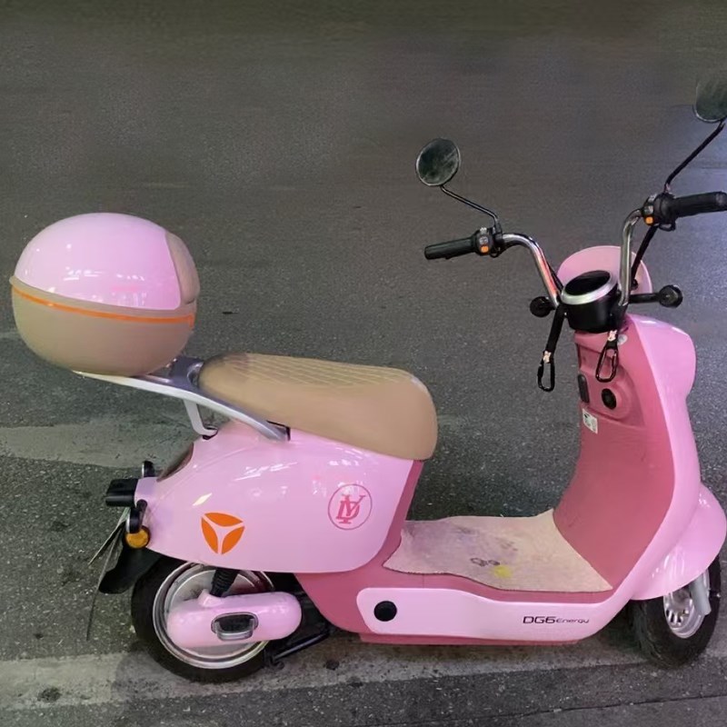 雅迪dg6/q6/dg9/q9/q50/q15/dg7/q5爱玛晴天露娜电动车后备箱尾箱