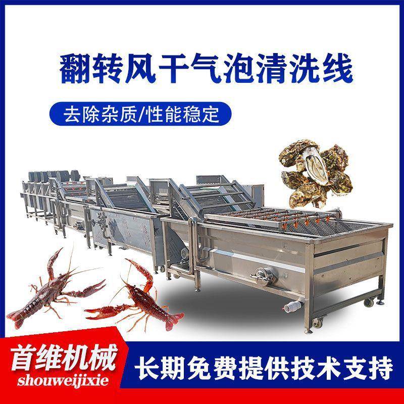 大型全自动小龙虾气泡清洗机高压喷淋海参鲍鱼清洗线酱菜脱盐设备