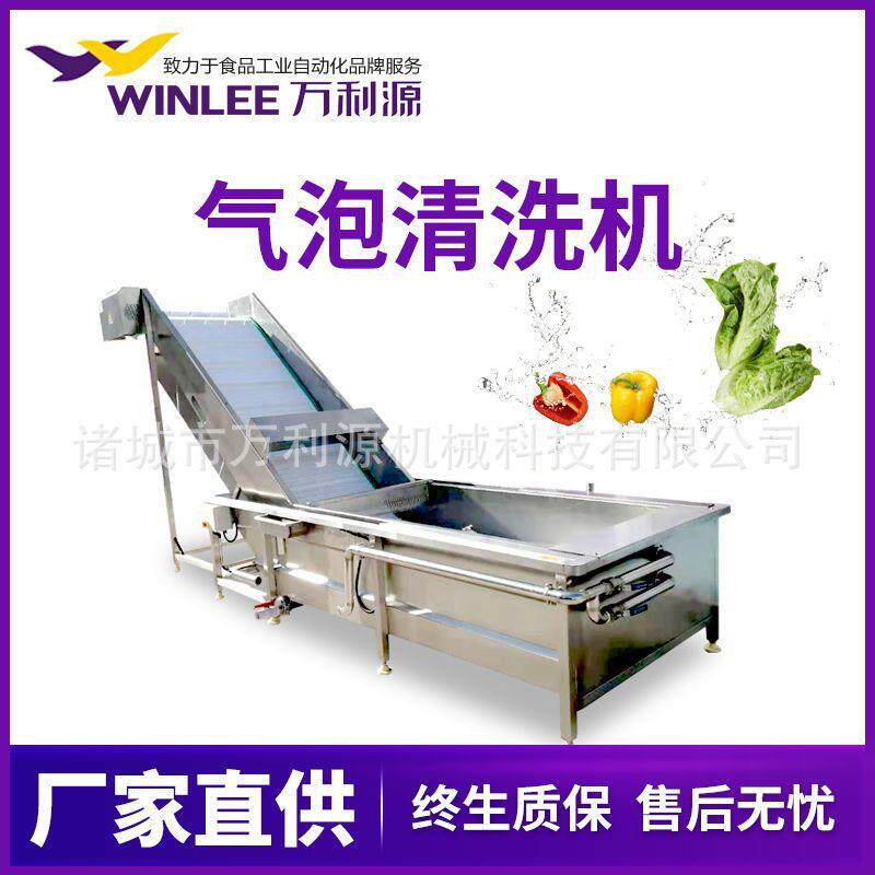全自动鼓泡果蔬清洗机臭氧去农药残留清洗设备中药材喷淋清洗机