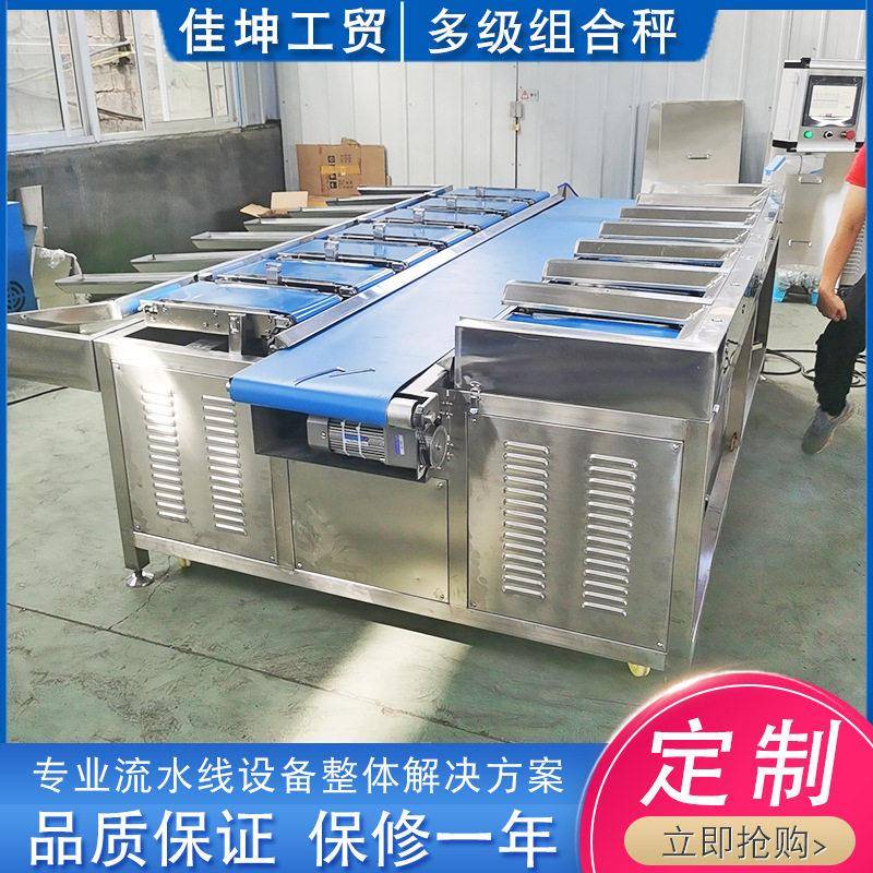 生鲜蔬果称重组合秤榴莲肉定量包装皮带秤厂家芒果干包装配重机