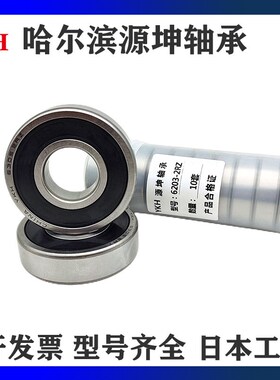 YKH哈尔滨轴承6220 6221 6222 6224  ZZ RZ