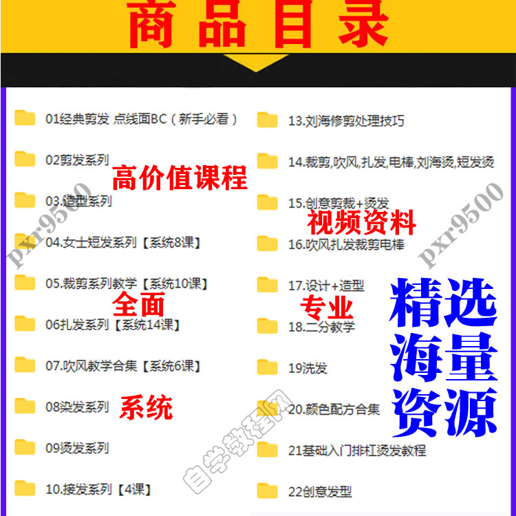 男士理髲剪发技术教程U盘自学习影片女士烫染洗剪吹培训染发造型