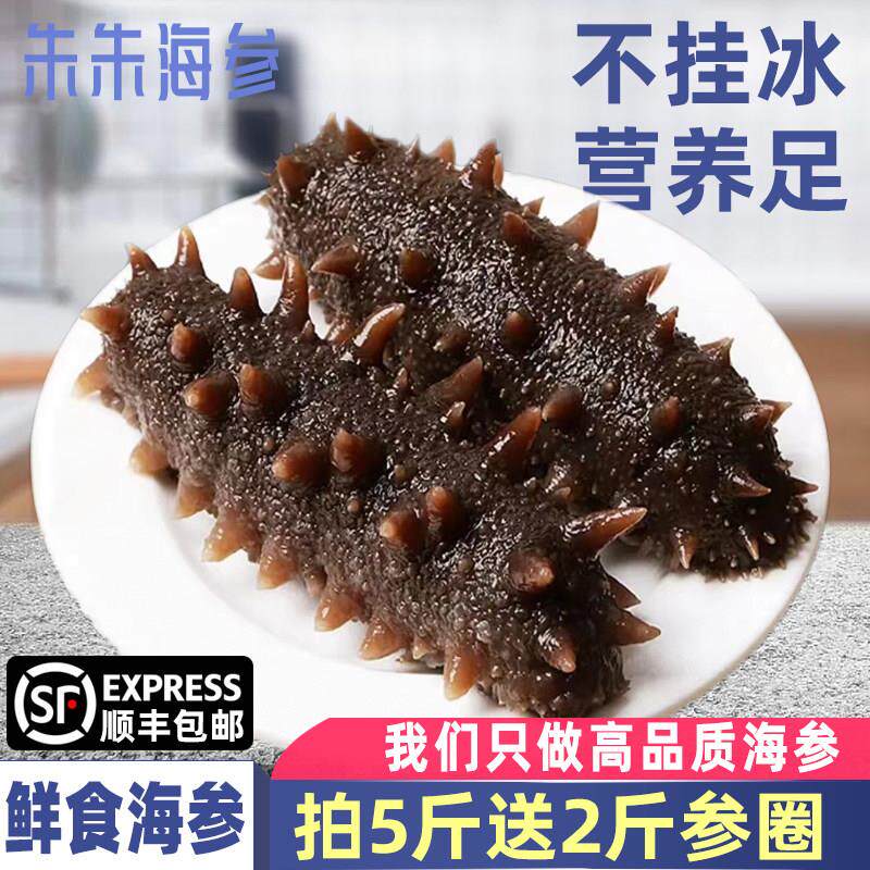 山东烟台长岛即食海参独立包装袋一斤海鲜礼盒海刺参海渗开袋即食