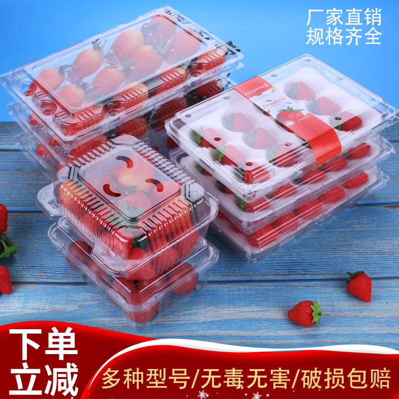 草莓盒包装盒子高档透明塑料打包盒带盖防震快递保鲜水果盒一次性