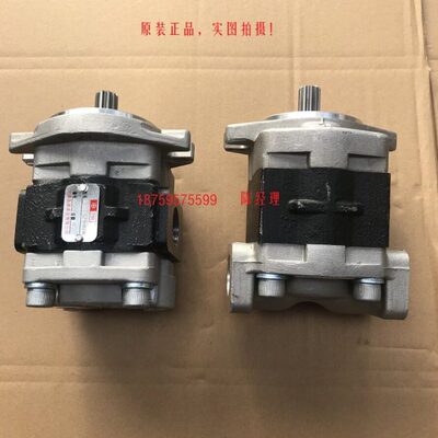 TSH天津岛津油泵SGP1A30.8D2H9-R433T合力叉车新源轮挖齿轮油泵