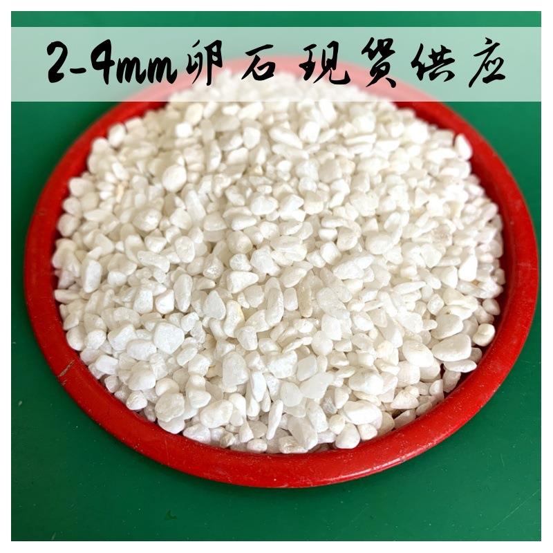 白色石子雪花白鹅卵石庭院铺路白石子水洗石枯山水造景白色砾石