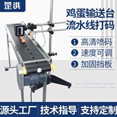 罡洪全自动鸡蛋输送台流水线喷码 机器 机打生产日期传送带logo打码