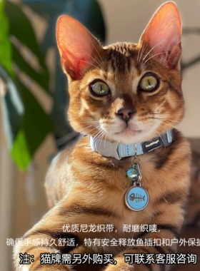 RedDingo瑞鼎狗安全扣猫项圈颈圈带铃铛猫咪脖圈