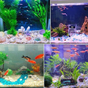 画法几何鱼缸原生底砂天然水晶砂南美河砂造景砂彩石水族箱水草沙