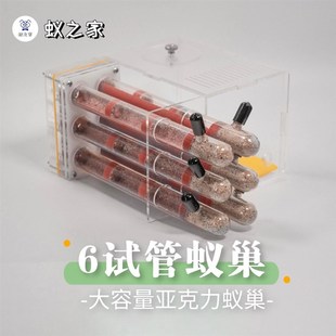 18口径6试管蚁巢高保湿蚁巢蚂蚁工坊大容量蚁巢宠物蚁巢竹节巢