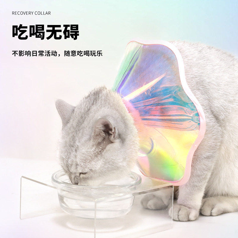 贝哈可宠物炫彩花朵防舔PVC脖圈防水防咬猫头套易清洗手术后颜值,宠物/宠物食品及用品,宠物伊丽莎白圈,淘宝优惠券,粉丝福利购,淘宝优惠卷