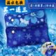 冰枕水枕冰晶枕水枕头双人注水冰垫夏季 天降温垫冰枕头大号冰凉枕