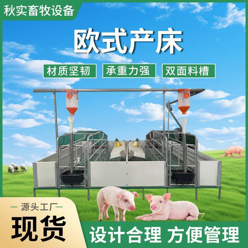 欧式产床家禽养猪养羊养殖场使用承重力强可加温设计带漏粪板
