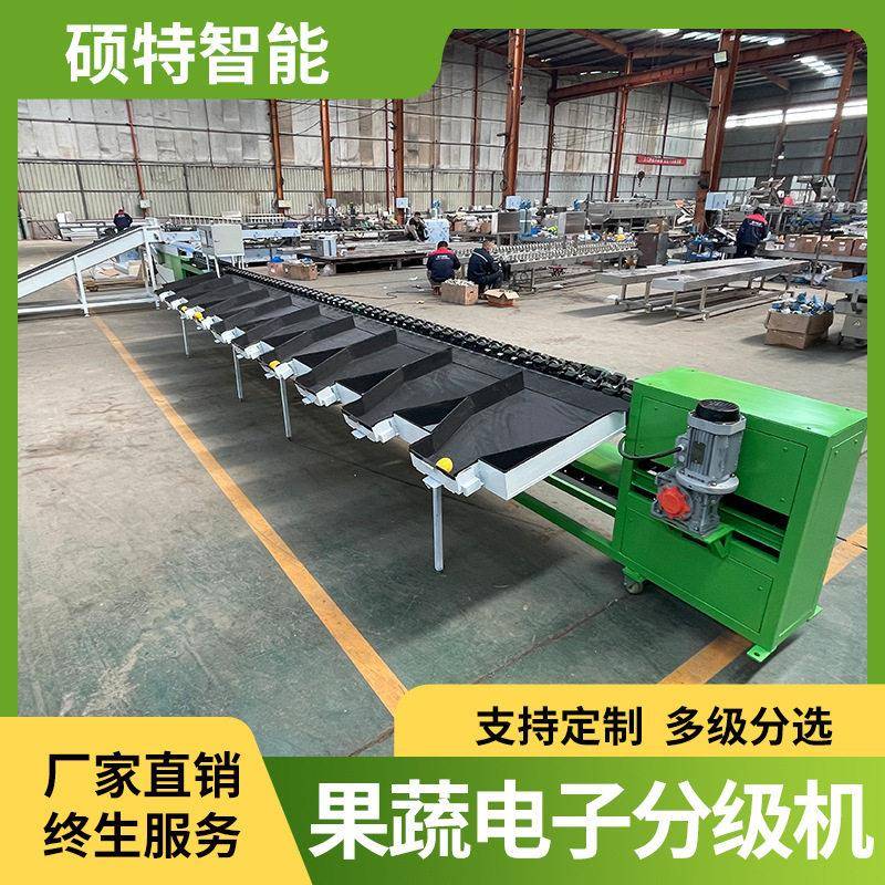 西红柿柠檬滚轮称重分选机苹果桔子双通道重量筛选选果机
