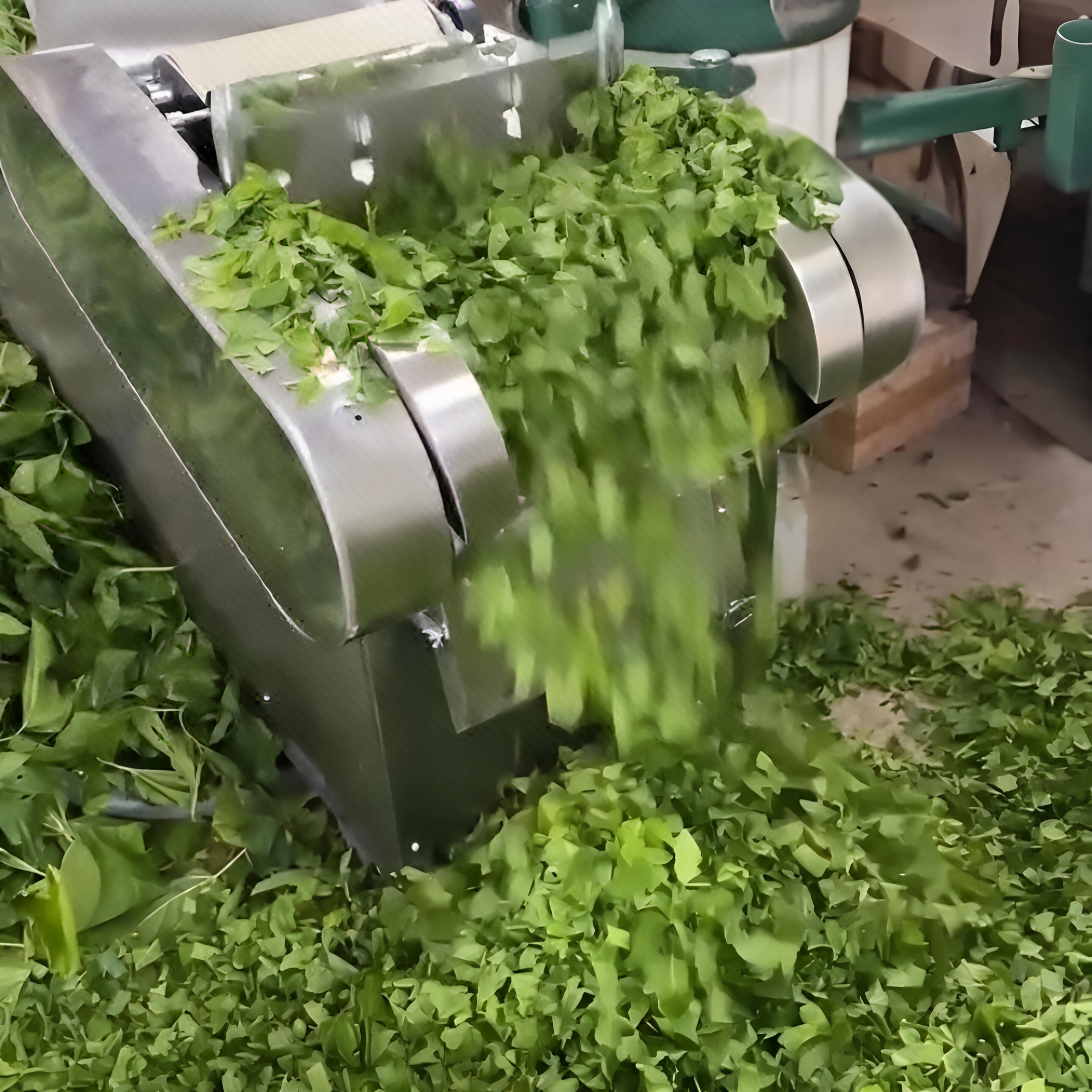 桑叶切方片荷叶腐竹泡馍切丁机