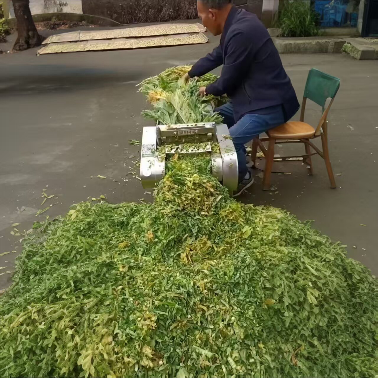 仿手切芥菜雪菜酸菜梅干菜切菜机