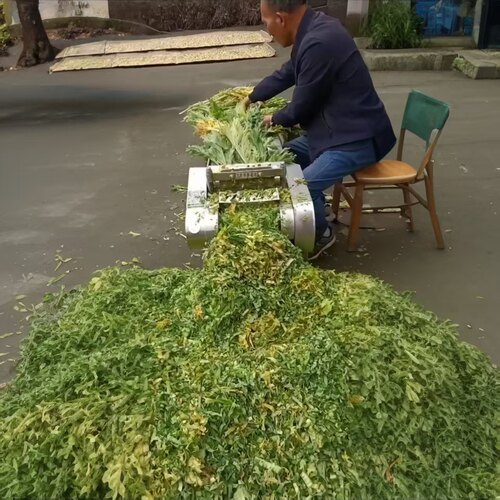 仿手切芥菜雪菜酸菜梅干菜切菜机