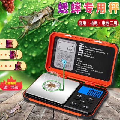 帝衡蟋蟀电子秤蛐蛐专用称天津厘上海斟点家用小型蝈蝈用具公制克