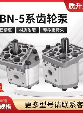 齿轮油泵CBT-E52E550E56E580单键左右旋铲车装载机系统液压泵