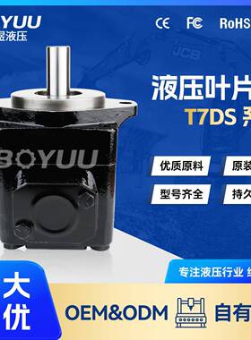 T7DSB312L00A1M0叶片泵用于船舶制造水利发电厂家直销