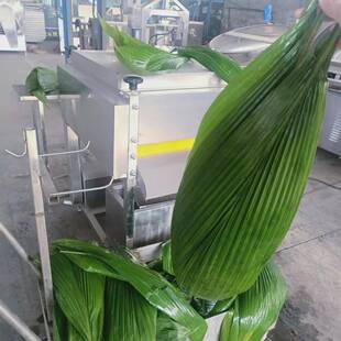 广东端午桂竹粽叶清洗机喷淋水循环南方粽粑叶箬竹叶清洗机设备