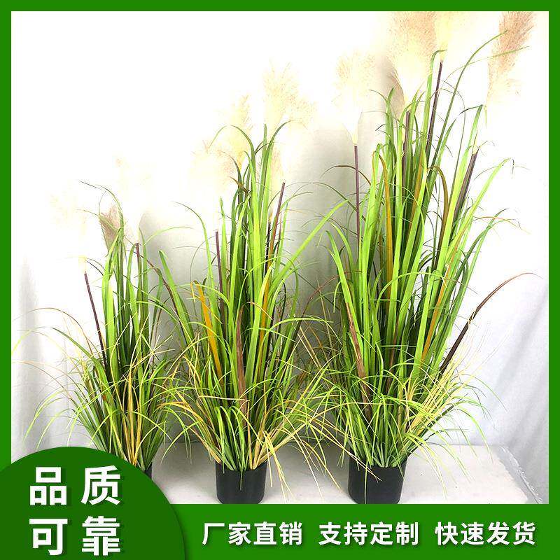 仿真芦苇盆景仿真蒲苇草盆栽洋葱草大型芦苇家居装饰植