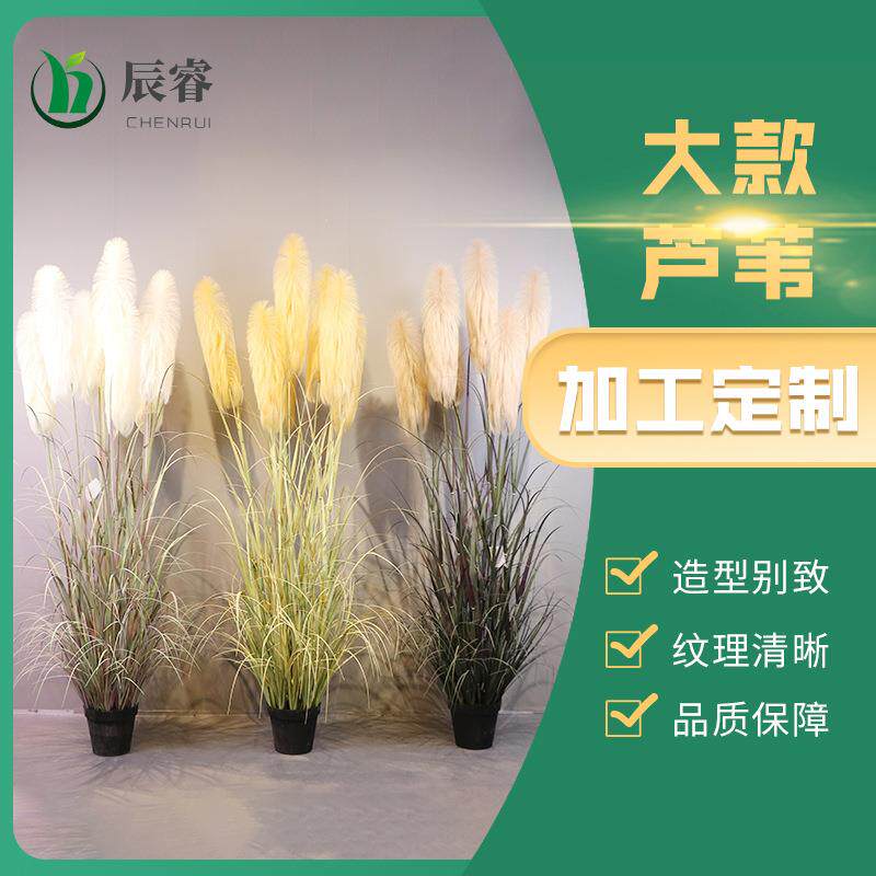 现货仿真花假草大款芦苇草绿植植物盆栽清新装饰办公