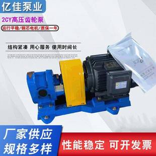 高压齿轮泵亿佳供应2CY齿轮油泵燃油输送泵抽油泵齿轮泵
