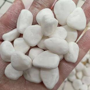 白石子水磨地用估山水造景水磨石白色鹅卵石装 饰用白碎石卵石