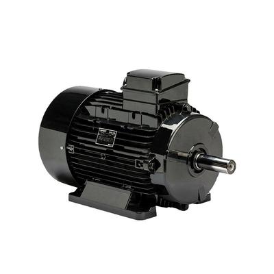 巴西WEG拉斐特LAFERT拉莫斯LAMMERSHOyER霍尔三相异步交流电动机