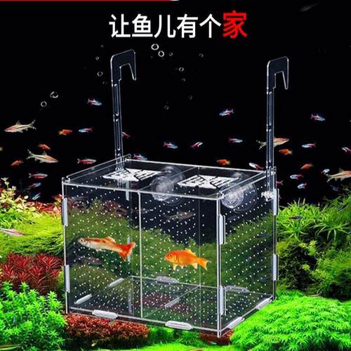 鱼缸池隔离盒亚克力孔雀鱼鱼分隔盒孵化器育苗鱼苗小型