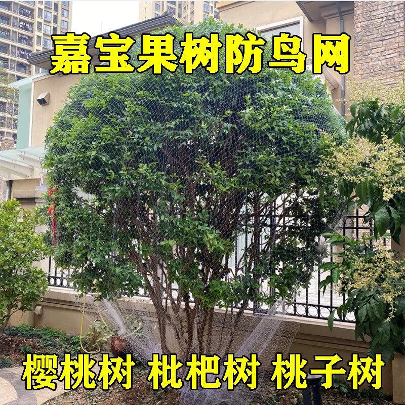 樱桃果树防鸟网农用防鸟丝网果园天网嘉宝果树防鸟罩阳台防鸟网子