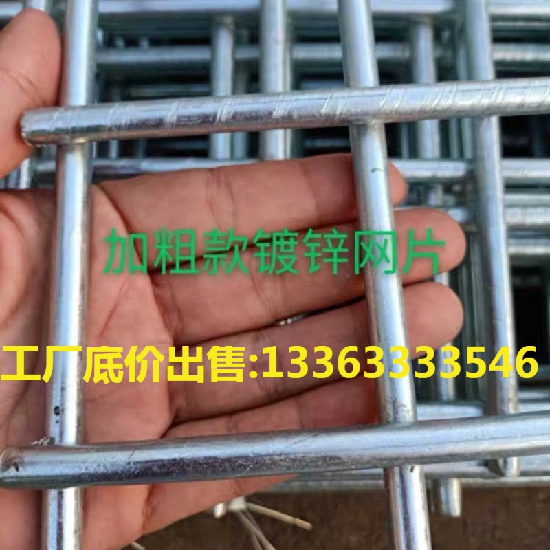 镀锌铁丝网电焊网片建筑网格养殖围栏网装饰网隔离网防护网狗笼网