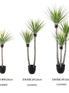 现货热带仿真绿植盆栽装饰龙血铁树植物假龙舌兰客厅假树大型落地
