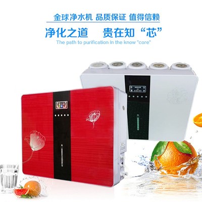 大通量直饮无桶智能家用TDS净水器RO机600G反渗透井水去垢商用