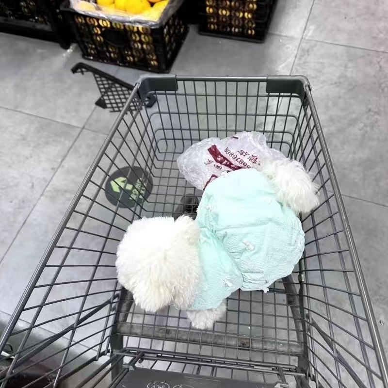 宠物衣服秋冬新款加绒夹棉蝴蝶结蓬蓬裙泰迪比熊狗狗猫咪裙子
