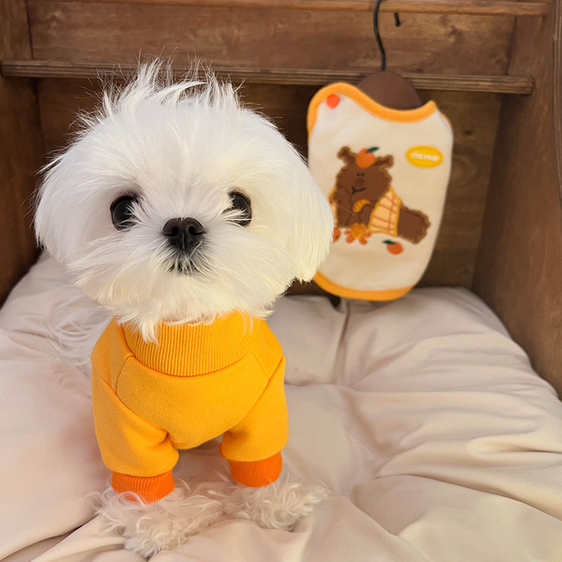 宠物衣服狗狗猫咪春季保暖马甲卫衣背心小型犬马尔济斯中型可爱