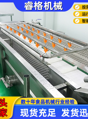 不锈钢气泡清洗机香菜小葱清洗设备高压喷淋水果蔬菜气泡清洗机