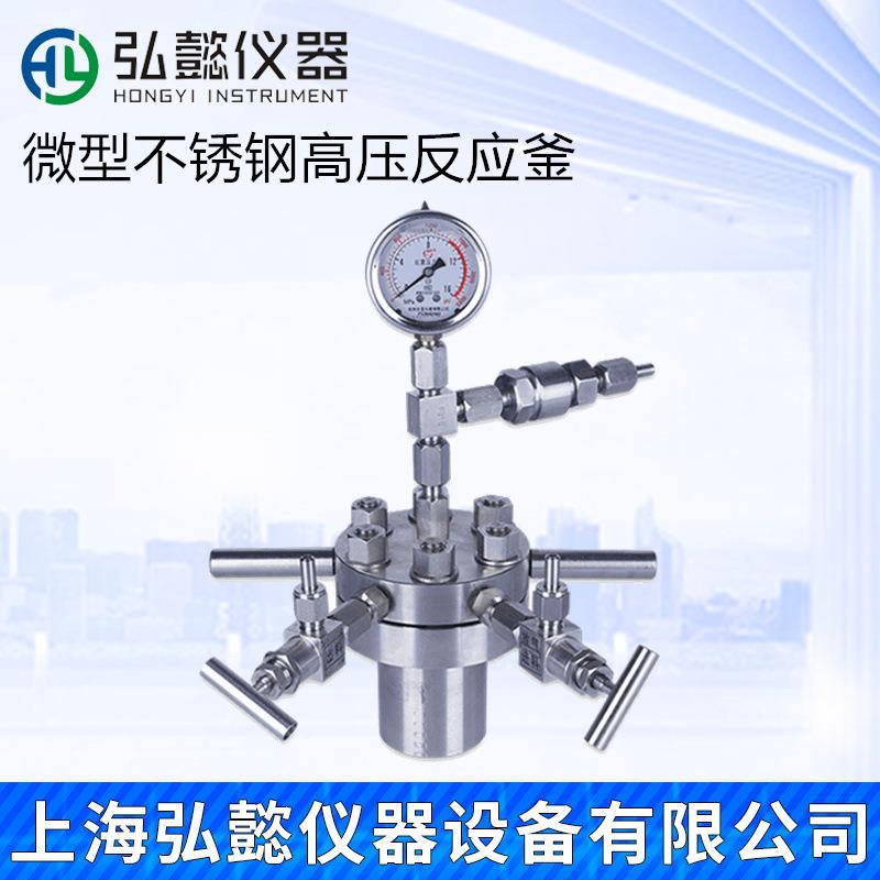小型简易不锈钢高压反应釜氢化高压反应釜晶化釜防爆装置磁力搅拌
