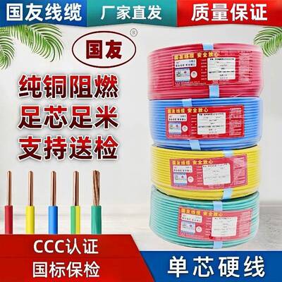 国友线缆国标10平方铜芯电线BV2.5/4/6平方家用家装电线阻燃铜线