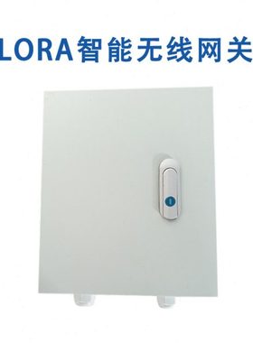 LORA无线智能网关  SD123-L530
